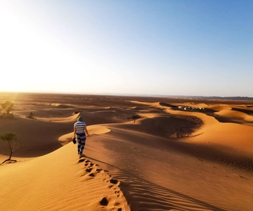 From Zagora: Overnight Desert Tour to Erg Chigaga Camel ride