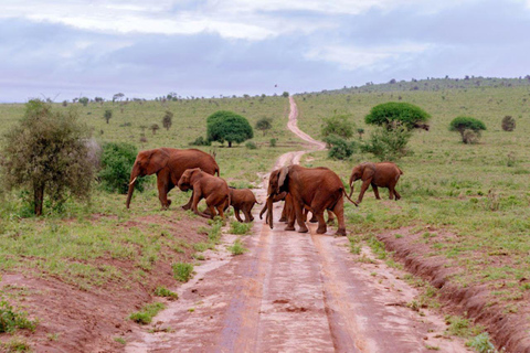 Mombasa: 2-daagse safari naar Taita Hills wildreservaat