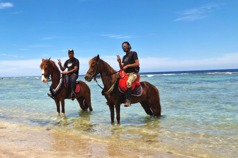 Hurghada: Desert and Red Sea Horseback Riding Tour