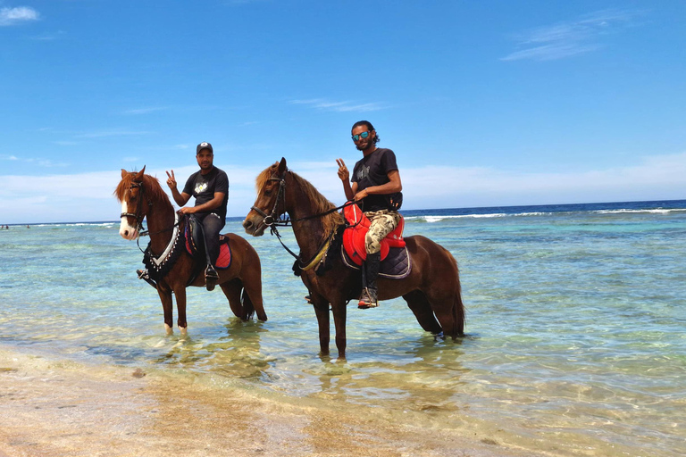 Hurghada: Desert and Red Sea Horseback Riding Tour