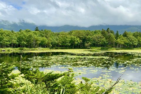 Shiretoko & Kiyosato: Five Lakes Full-Day Nature Tour