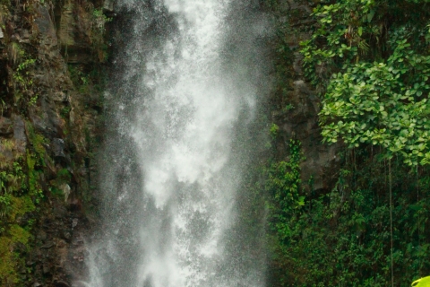 Chiriqui hidden Gems - Tagestour zum Donnerwasserfall