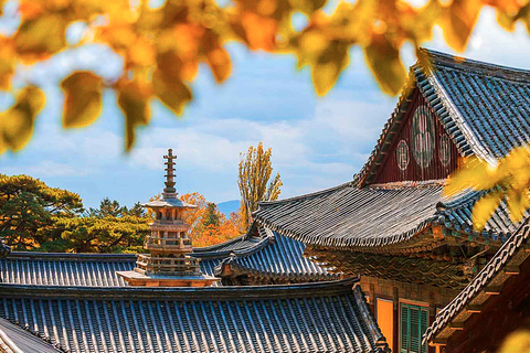 Busan: Visita de un día a la ciudad de Gyeongju con 8 puntos destacadosGyeongju Desde Seomyeon Ex.12