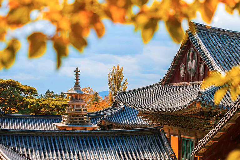 Busan: Visita de un día a la ciudad de Gyeongju con 8 puntos destacadosGyeongju Desde Seomyeon Ex.12