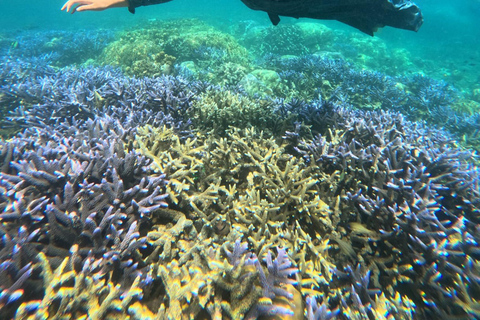 Lombok Private Snorkeling: Hidden Southwest 5 Gili Islands Lombok: Private Snorkeling Gili Asahan (5 Gilis) + Lunch