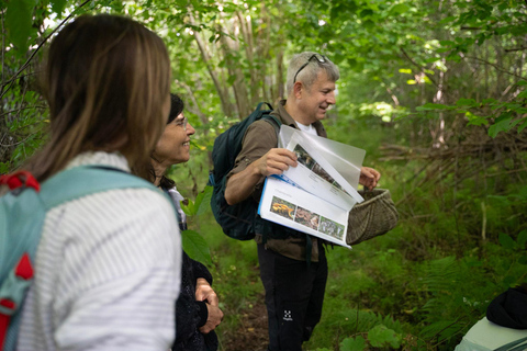 Stockholm: Mushroom and Berries Foraging Tour with Lunch