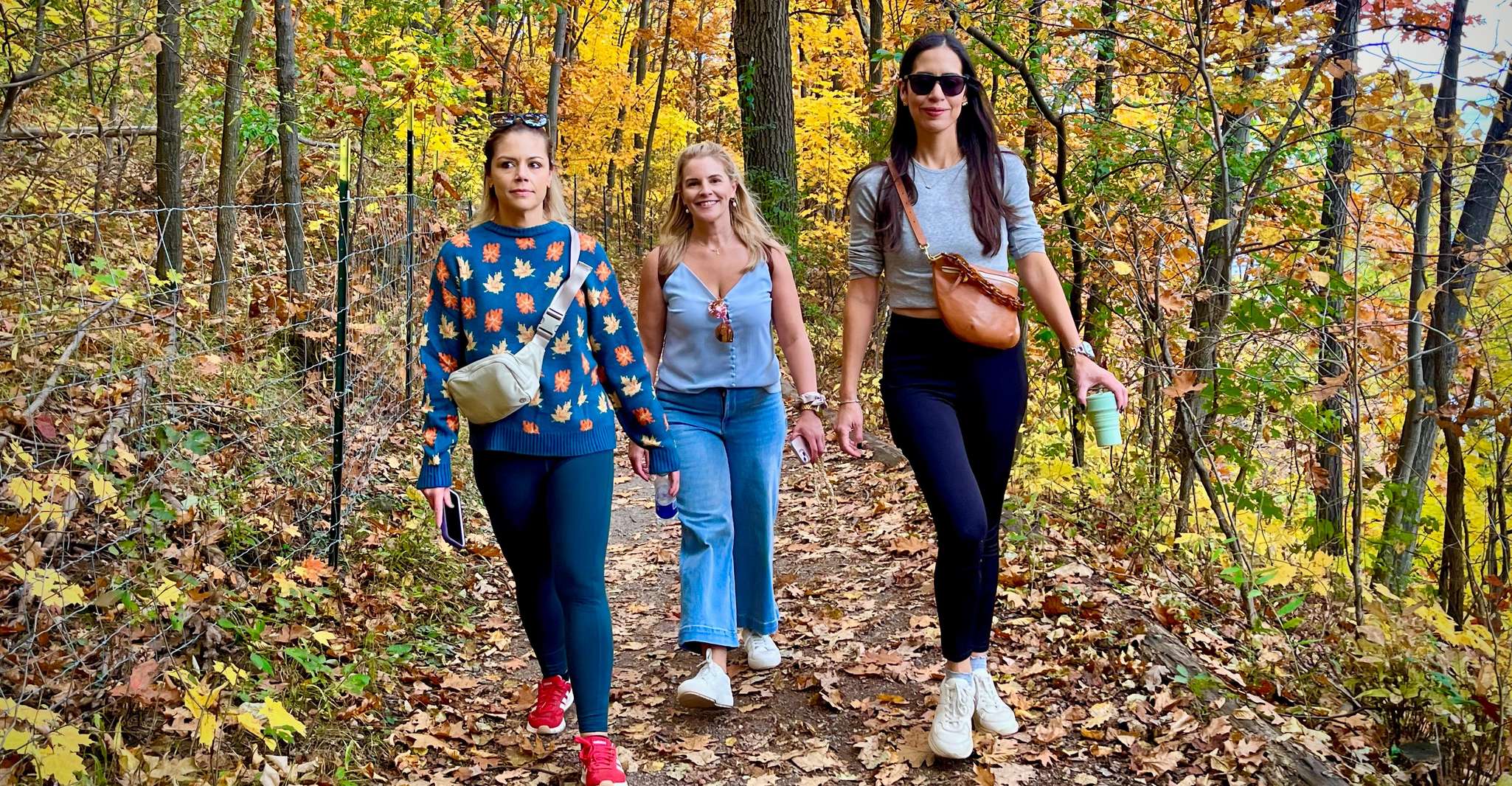 Montreal's Mount Royal Tour photo 18