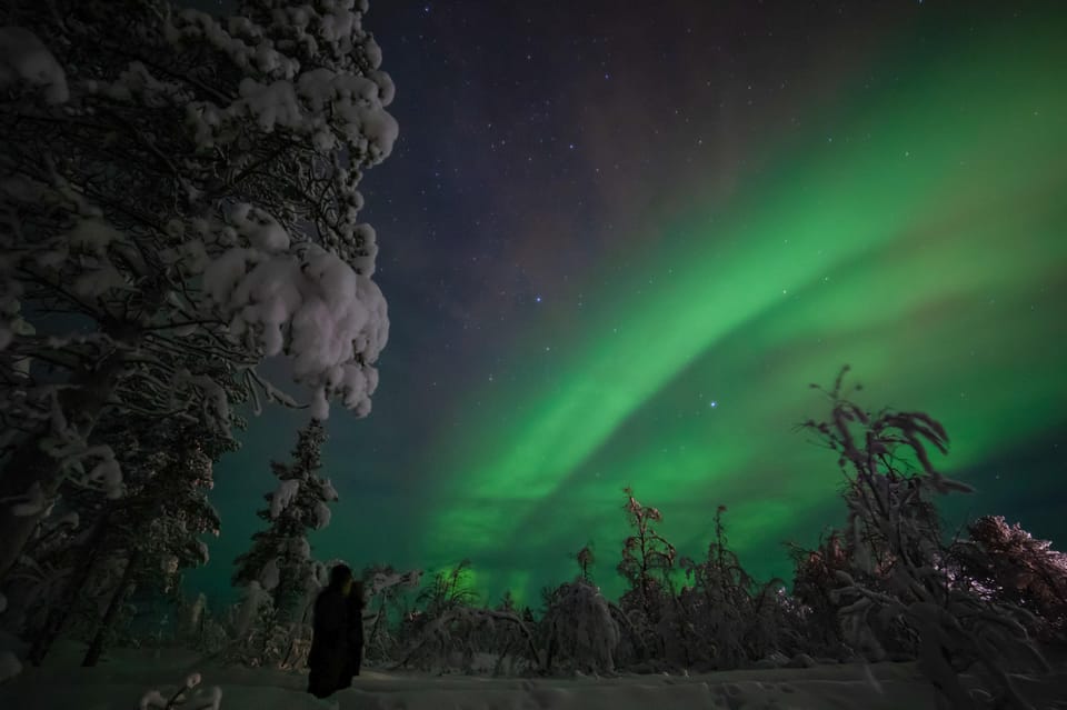 Kiruna Aurora Midnight Session with BBQ and snowshoe hike GetYourGuide