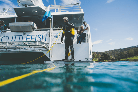 Hobart: Ultieme viscruise op een ruime catamaran
