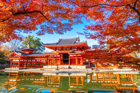 Osaka: Nara and Uji Day Trip with Deer Park and Hot Spring