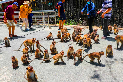 Depuis Ho Chi Minh : Visite guidée Premium de l&#039;île aux singes de Can Gio