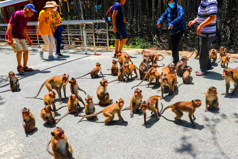 De Ho Chi Minh: Visita guiada Premium à Ilha dos Macacos de Can Gio