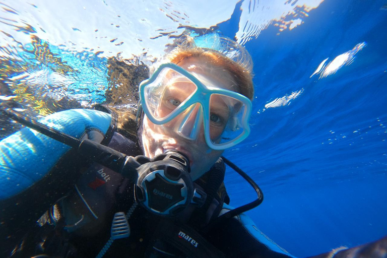 Aqaba: Scuba Diving Experience with Transfers