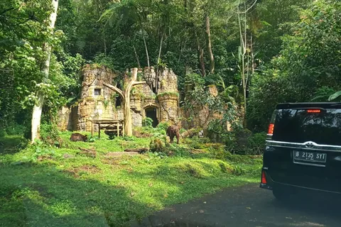 Jakarta Private Tour Safari Park, Tea Plants & Waterfall