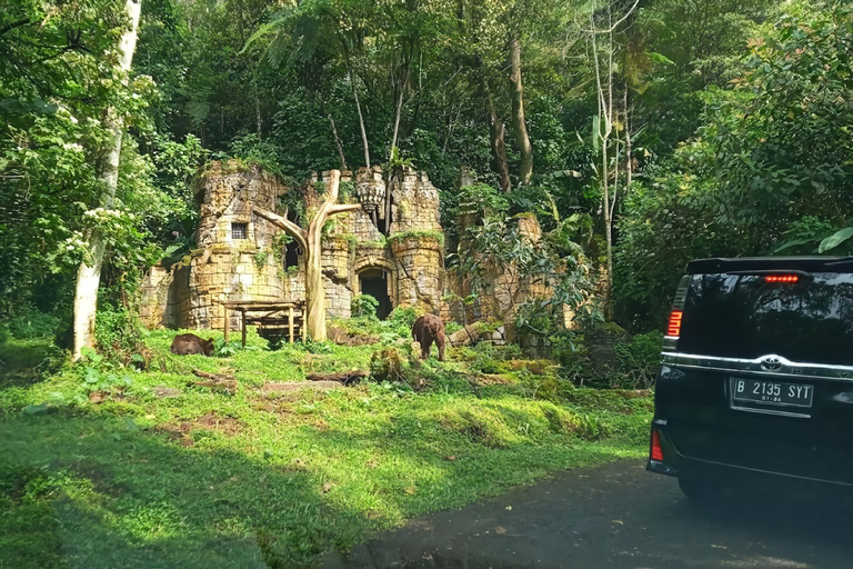 Tour privato di Giacarta: parco safari, piante di tè e cascate