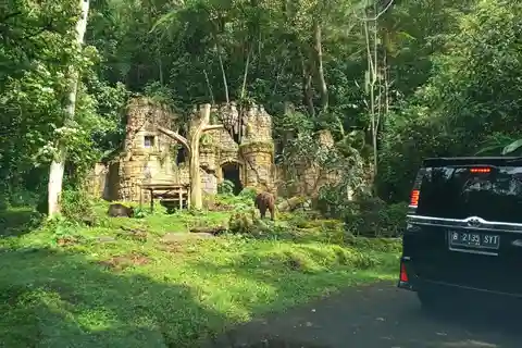 Jakarta Private Tour Safari Park, Tea Plants & Waterfall