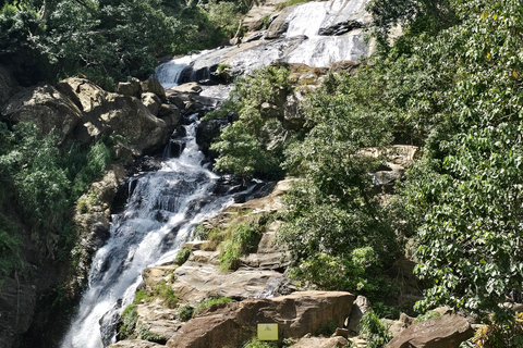 Ella: NineArches Bridge,Mini adam's peak and Waterfalls Tour