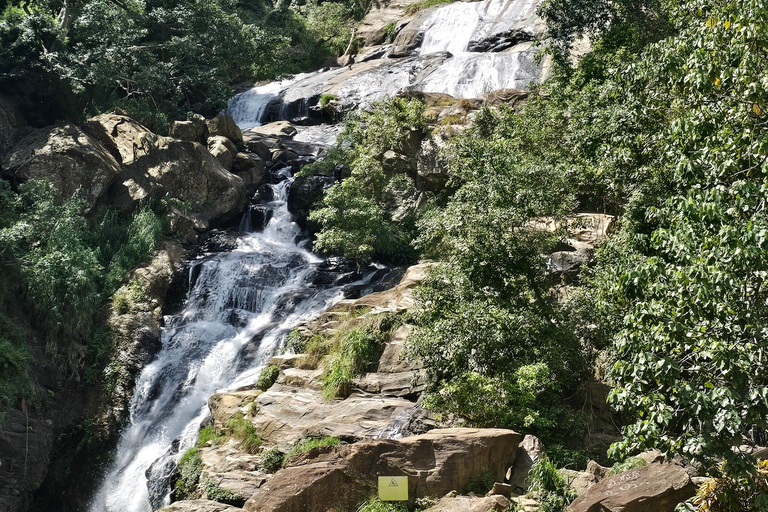 Ella: NineArches Bridge,Mini adam's peak and Waterfalls Tour