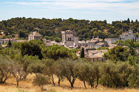 Avignon: Food & Wine Walk | Gourmet Taste & Local Vibes