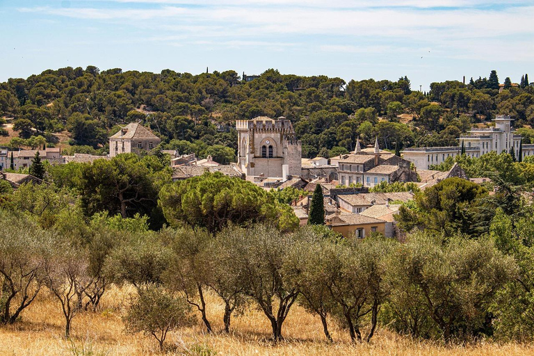 Avignon: Food & Wine Walk | Gourmet Taste & Local Vibes