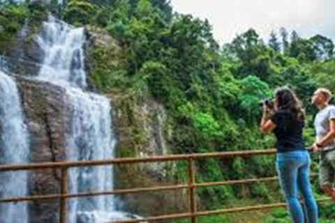 Kandy to Ella Transfer With Lakes, Falls & Botanical Garden