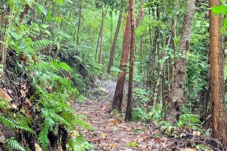 Dunk Island dagstur | Cairns dagstur tillbaka