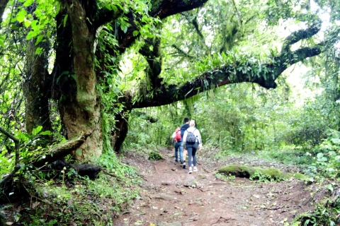 Arusha: Wandelen op de berg Meru(Kopie van) Arusha: Wandelen op de berg Meru