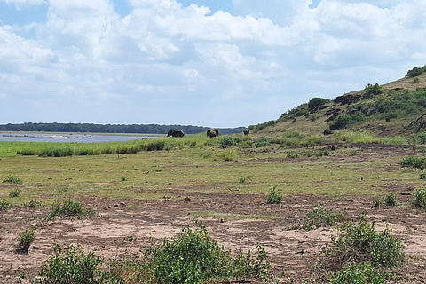 Nairobi: Amboseli National Park Tagestour mit PirschfahrtenSolo Nairobi: Amboseli National Park Tagestour