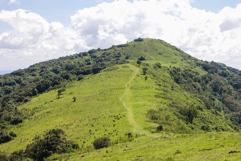 Dia inteiro de caminhada nas colinas de Ngong