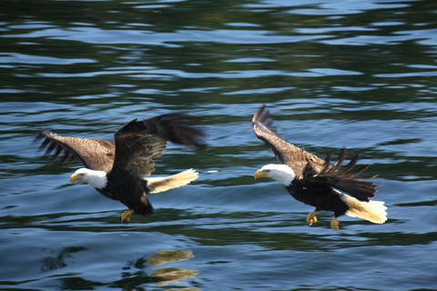 Bering Sea Crab Fishermen's Tour