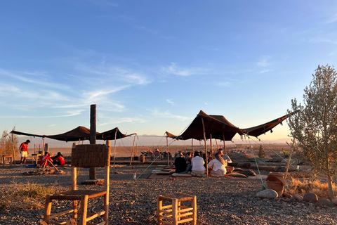 Buggy Marrakech: Tour in buggy nel deserto di Agafay e spettacolo con cena1 Buggy ( 1 ora ) per 2 persone senza cena