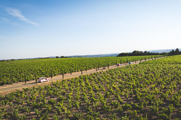 Gourmet road trip and visit to the Domaine des 3 Cellier in Châteauneuf-du-Pape