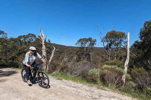 Adelaide Hills: Wycieczka z przewodnikiem na rowerze elektrycznym z kawą i ciastem