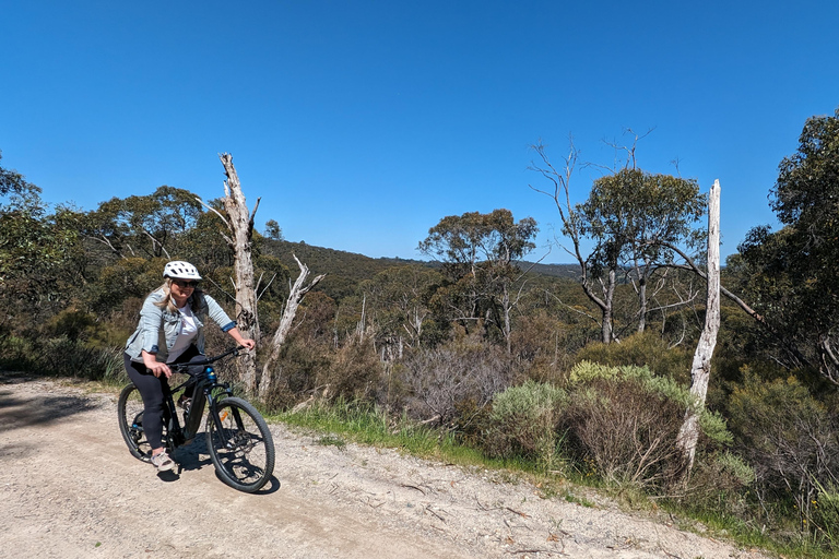 Adelaide Hills: Tour guiado de E-Bike pelos vinhos com almoço