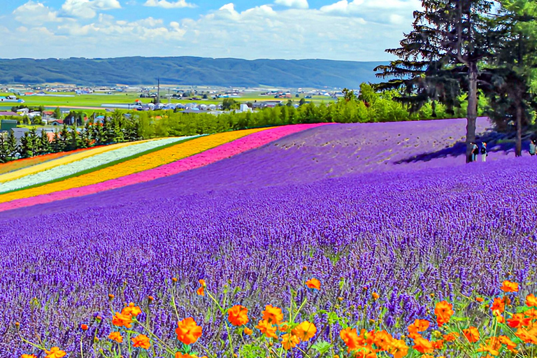 Hokkaido Summer Day Trip: Patchwork Road&Shikisai no Okas Depart from Sapporo Tokyu REI Hotel (without lunch)