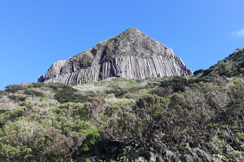 Flower Island: Van Tour