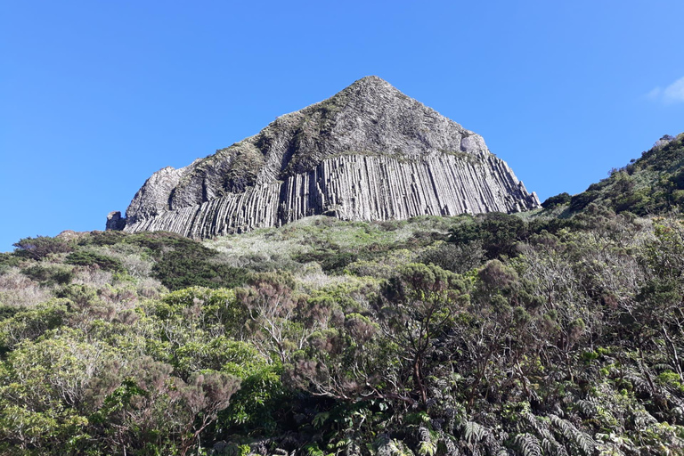 Flower Island: Van Tour
