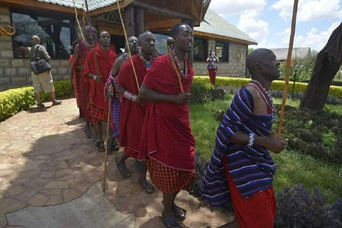 Au départ de Nairobi : Safari de 2 jours dans le parc national d&#039;Amboseli