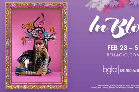 Galerie des Beaux-Arts de Bellagio : Billet pour l'exposition In Bloom