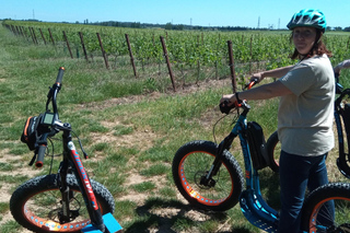 Domaine GUINAND: wine hike on e-scooters