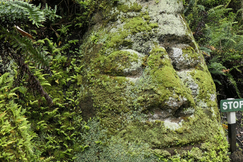 Floreana: Snorkeling, History and Volcanic Trails Sightseeing Tour Floreana: Snorkeling, History, and Volcanic Trails Sightseeing Tour