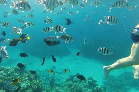 Private: Sosua Bay Snorkeling Tour with Hotel Pickup