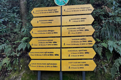 From Kathmandu: Shivapuri Nagarjun–Bagdwar Guided Hike