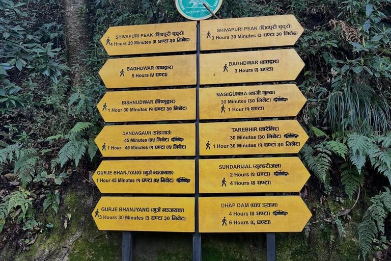 From Kathmandu: Shivapuri Nagarjun–Bagdwar Guided Hike