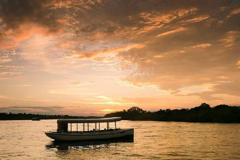 Victoria Falls: Zambezi River Ra-Ikane Cruise with Drinks