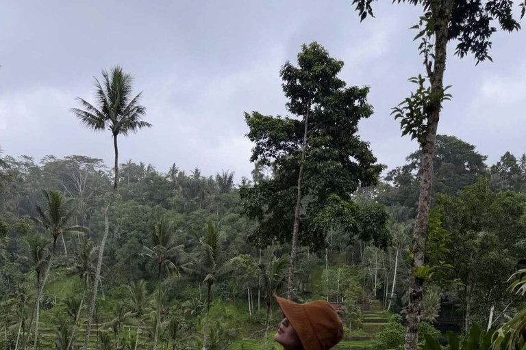 Bali: Ubud Swing, Rice Terrace & Temple Private Day Tour