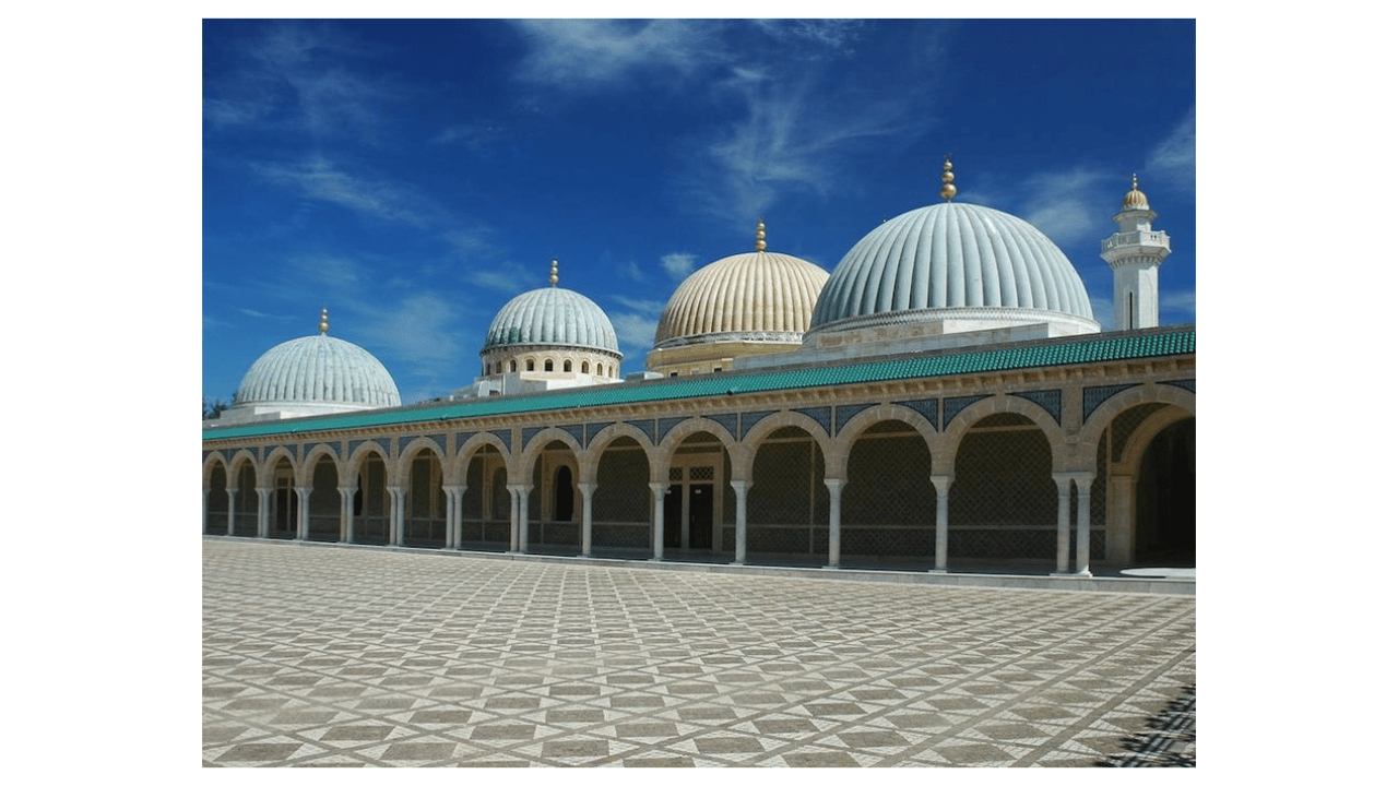 Tunis/Monastir/Hammamet: Tagestour an der Küste mit Fahrer