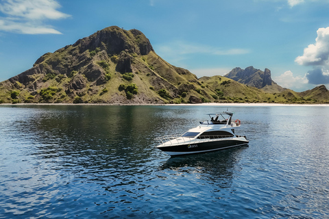 Tour di un giorno di Komodo in motoscafo da Labuan Bajo