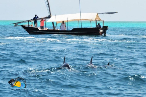 Zanzibar: Mnemba Dolphins Tour and Sunset Dhow Cruise Hotel Transfers within Nungwi and Kendwa