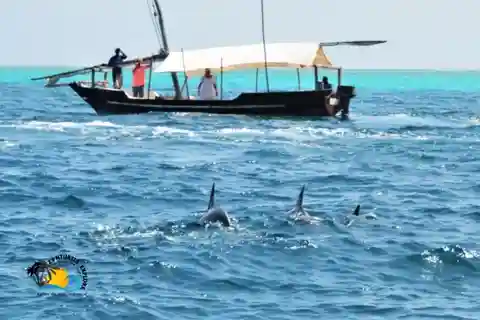 Zanzíbar: snorkel en el atolón de Mnemba y crucero en dhow al atardecer